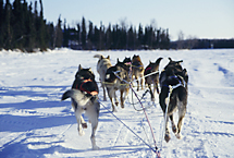 アラスカ